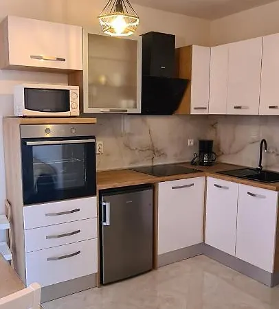 Apartment Orlic Sali